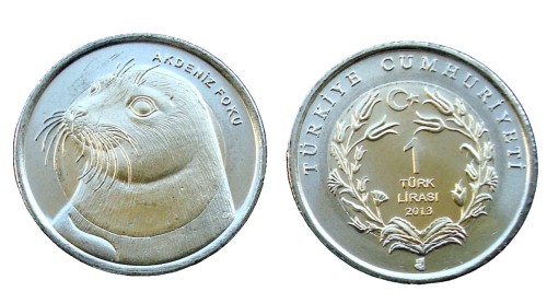 Turcja 1 lira Foka Mniszka śródziemnomorska 2013