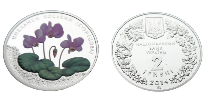 UKRAINA 2 UAH Cyklamen dyskowaty (Kuzniecowa) 2014