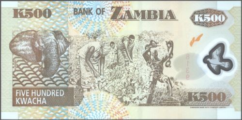 Zambia 500 kwacha Słoń 2011 P-43 h