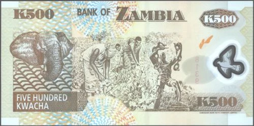 Zambia 500 kwacha Słoń 2011 P-43 h