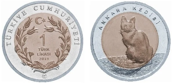 ankara kedisi