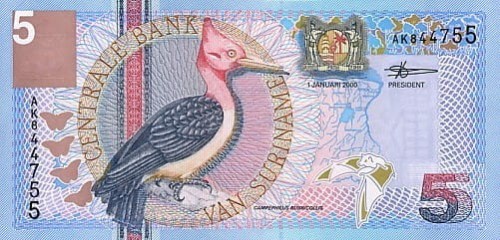 Surinam 5 guldenów Dzięcioł czerwonoszyi 2000 P-146