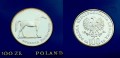 100 zł Koń 1981