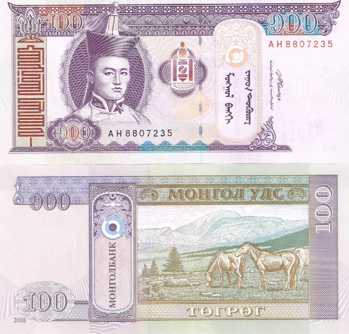 Mongolia 100 tugrik konie 2008 P-65b