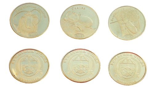 Zestaw Indonezja - Sumatra x 3 Chrząszcze 2018 II