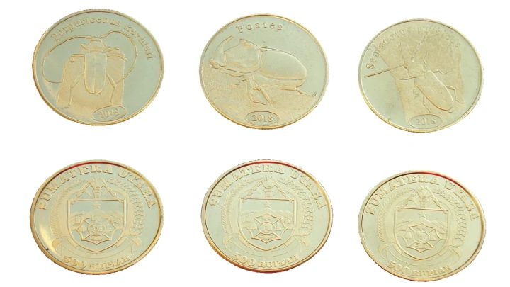 Zestaw Indonezja - Sumatra x 3 Chrząszcze 2018 II