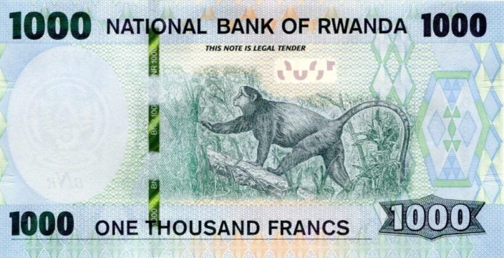 Rwanda 1000 franków Małpa 2019 P-43a
