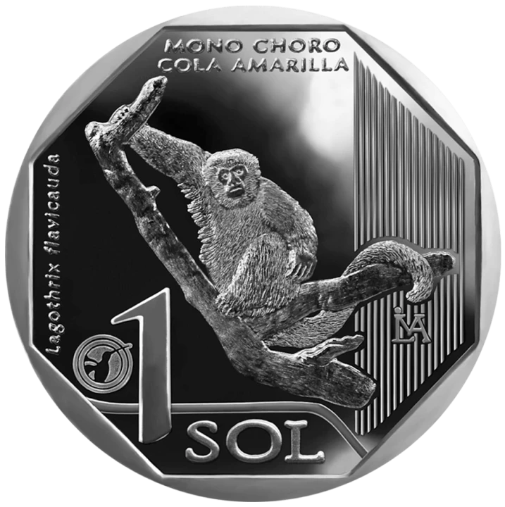 Peru 1 sol Wełniak żółty 2019