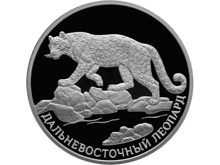Rosja 2 ruble Lampart amurski 2019 Ag