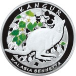 20 zł Kangur Walabia Bennetta 2013