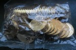 2 zł worek 50 szt. Foka szara 2007