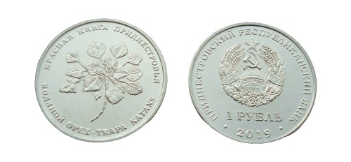 Naddniestrze 1 rubel Kotewka orzech wodny 2019