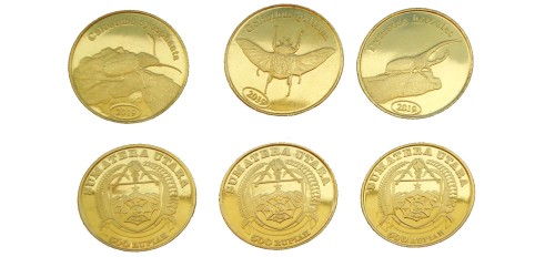 Zestaw Indonezja - Sumatra x 3 Chrząszcze 2019 III