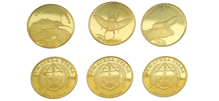 Zestaw Indonezja - Sumatra x 3 Chrząszcze 2019 III