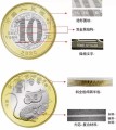 Chiny 10 yuan Rok Szczura 2020