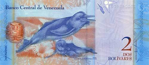 Wenezuela 2 Boliwary Papuga 2012 P-88e
