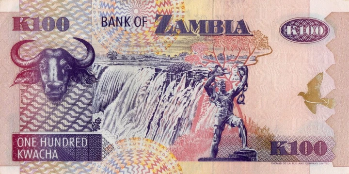 Zambia 100 kwacha Bawół 1992 P-38a