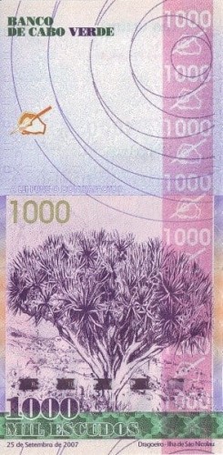 Cabo Verde 1000 Escudos Krzew 2007 P-70