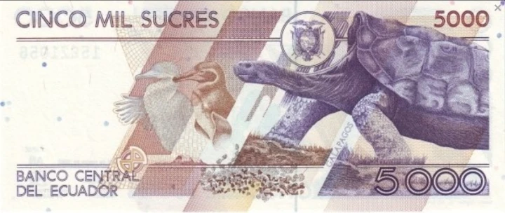 Screenshot 2021-07-07 at 09-01-26 Banknoty 5,000 Sucres (Ekwador) (1991-1999 Issue) Wor P-128c 2.png