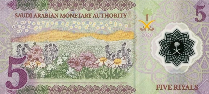 Screenshot 2021-09-24 at 13-34-25 Banknoty 5 Riyals (Arabia Saudyjska) (2020 - emisja polimerowa) Wor P-43a.png