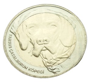 Turcja 1 kurus Pies Catalburun 2021