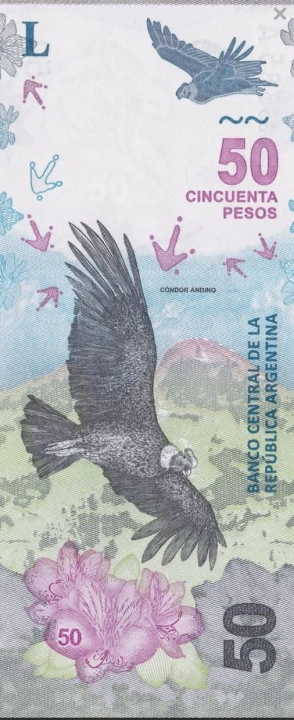 Argentyna 50 peso kondor 2020 P-363b