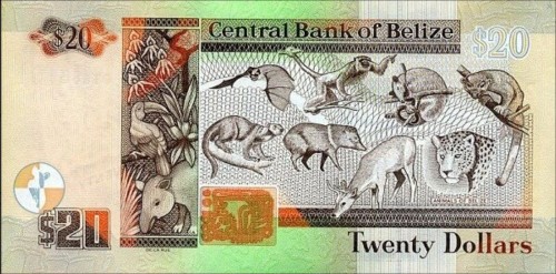 Belize 20 dolarów Zwierzęta Belize 2017 P-69f