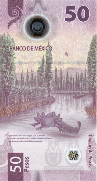 Meksyk 50 Peso aksolotl 2021 P-132a.2