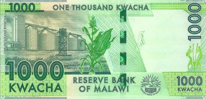 Screenshot 2022-11-20 at 11-09-59 Banknoty 1000 Kwacha (Malawi(2014-2021 New Blind Features Issue) Wor P-67e.png