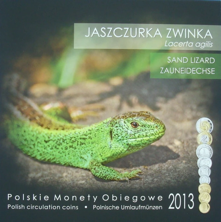 Polskie monety obiegowe  Jaszczurka x 9 2013