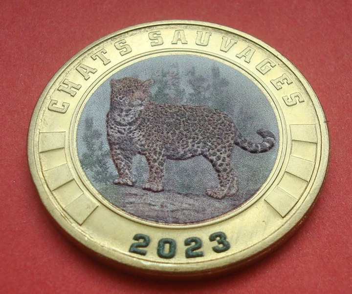 Fr. Teryt. Pd i Antarktyczne 3 Fr Jaguar 2023