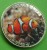 Indie Narcondam 25 rupii Nemo 2023