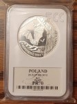 20 zł Podkowiec mały (łac. Rhinolphus hipposideros) 2010 (1)