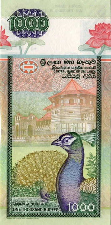 Sri Lanka 1000 Rupii Słoń 2006 P-120d