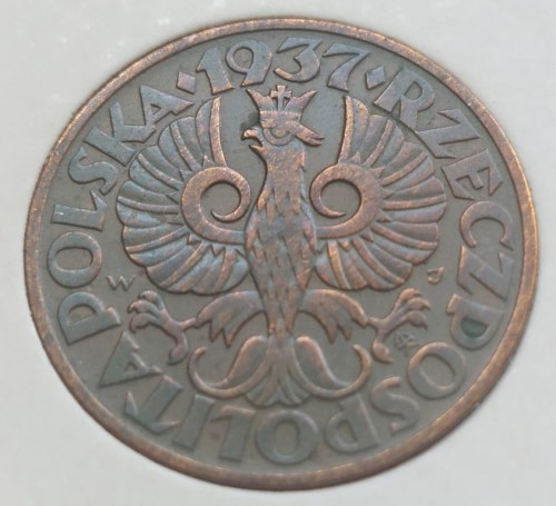 5 groszy 1937