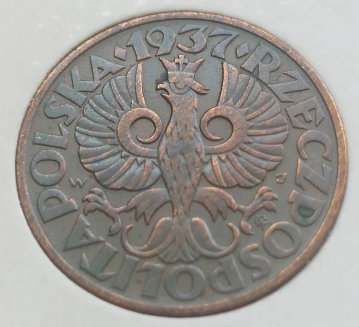 5 groszy 1937