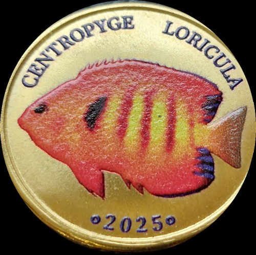 Malezja Labuan 5 ringit Centropyge Loricua 2025