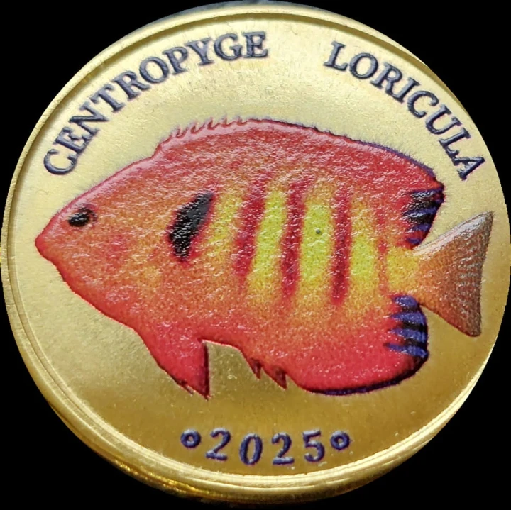 Malezja Labuan 5 ringit Centropyge Loricua 2025