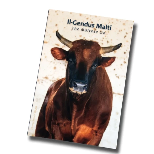 2 euro Malta Wół maltański 2025 coincard