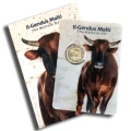 2 euro Malta Wół maltański 2025 coincard