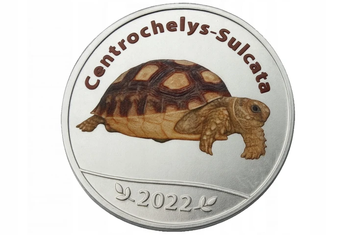 spain-25-pesetas-1980.jpeg