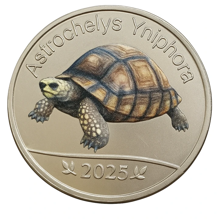 Seszele Praslin 5 rupii Żółw promienisty 2025