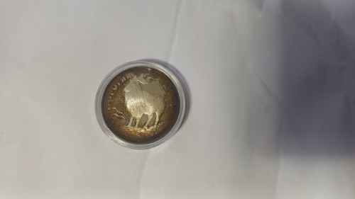 1000022161.jpg