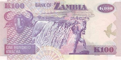 Zambia 100 kwacha Bawół 2008 P-38g