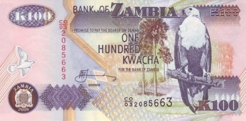 Zambia 100 kwacha Bawół 2008 P-38g