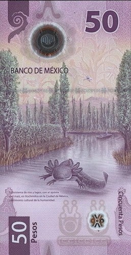 Nadruk na P-133: 100 Aniversario 1925-2025