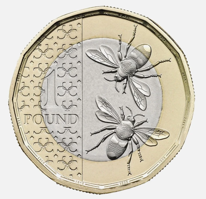 Wielka Brytania 1 funt Pszczoły 2025