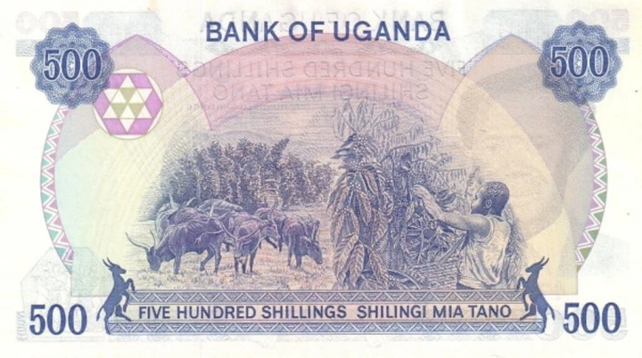 Uganda 500 szylingów Bydło 1983 P-22a