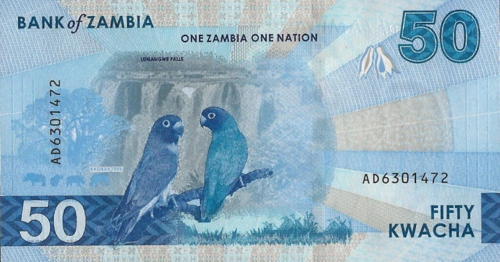 Zambia 50 ZK Papugi 2024 P-64