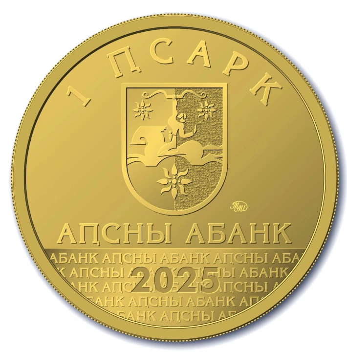 Abchazaja1 psar Petroglify 2025